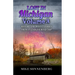 Lost In Michigan Volume 3: History and Travel Stories From An Endless Road Trip