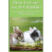 How to Care for Pet Rabbits: The beginners Guide to House Rabbit Ownership