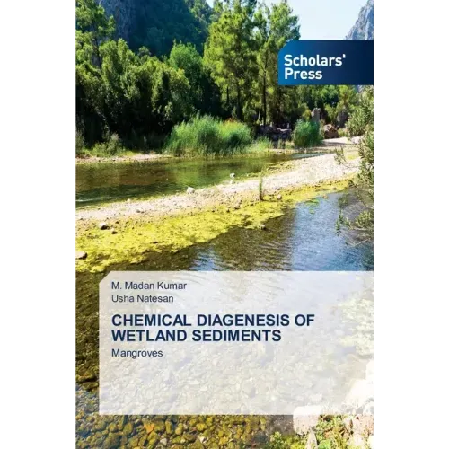 Chemical Diagenesis of Wetland Sediments