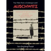 Auschwitz: True Tales from a Grotesque Land