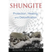 Shungite: Protection, Healing, and Detoxification
