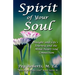 Spirit of Your Soul: Insight into Life's Journey and the Mind-Heart-Soul Connection