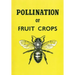 The Pollination of Fruit Crops