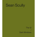 Sean Scully: The 12 / Dark Windows