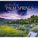 Portrait of Palm Springs