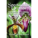 Spectacular Orchids: The Basics Of Growing Your Own Orchids