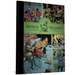 Prince Valiant Vol. 24: 1983-1984