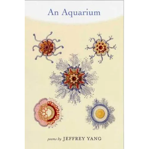 An Aquarium