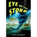 Eye of the Storm