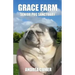Grace Farm Senior Pug Sanctuary