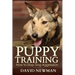 Puppy Training: How to Stop Dog Aggression
