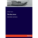 The Boy Jesus: And other sermons