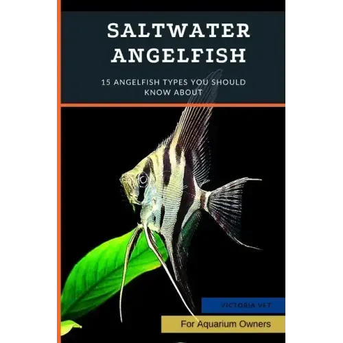 Saltwater Angelfish: 15 Angelfish Types You Should Know About
