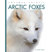 Arctic Foxes