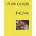 Fauna