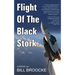 Flight of the Black Stork