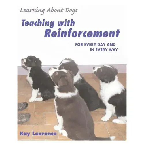 Teaching with Reinforcement: For Every Day and in Every Way