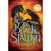 The Black Stallion Revolts