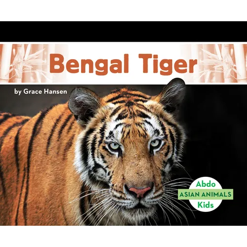 Bengal Tiger