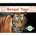 Bengal Tiger