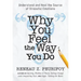 Why You Feel the Way You Do: Understand and Heal the Source of Stressful Emotions