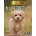 Maltidoodles