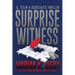 Surprise Witness: A. Stein & Associates Thriller