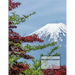 Kanji Practice Workbook: For Japanese Character Writing