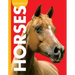 Curious about Horses