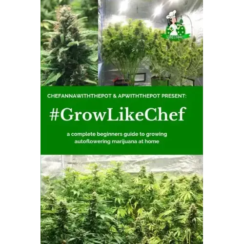 #Growlikechef: a complete beginners guide to growing autoflowering marijuana at home