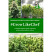 #Growlikechef: a complete beginners guide to growing autoflowering marijuana at home
