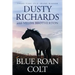 Blue Roan Colt