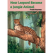 How leopard Became Jungle Animal