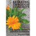 Breaking Through Concrete
