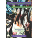 Cultural Shaping of Violence: International Perspectives