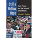 Still a Hollow Hope: State Power and the Second Amendment