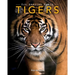 Tigers: Amazing Pictures & Fun Facts on Animals in Nature