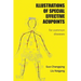Illustrations Of Special Effective Acupoints for common Diseases
