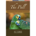 The Pull: Relationships & their Spiritual Significance