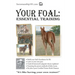 Your Foal: Essential Training