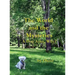 The World and the Mysteries: A Dog Asks, Why?