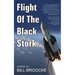 Flight of the Black Stork