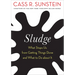 Sludge: What Stops Us from Getting Things Done and What to Do about It