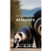 It's Time to Learn about Anteaters