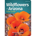 Wildflowers of Arizona Field Guide