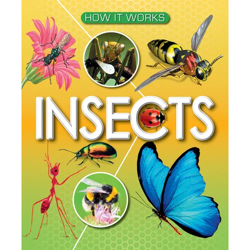 Insects