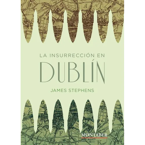 La insurrección en Dublín