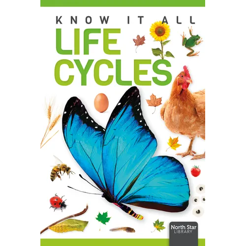 Life Cycles