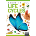 Life Cycles