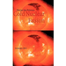 Cold Nuclear Fusion: Germany 2012